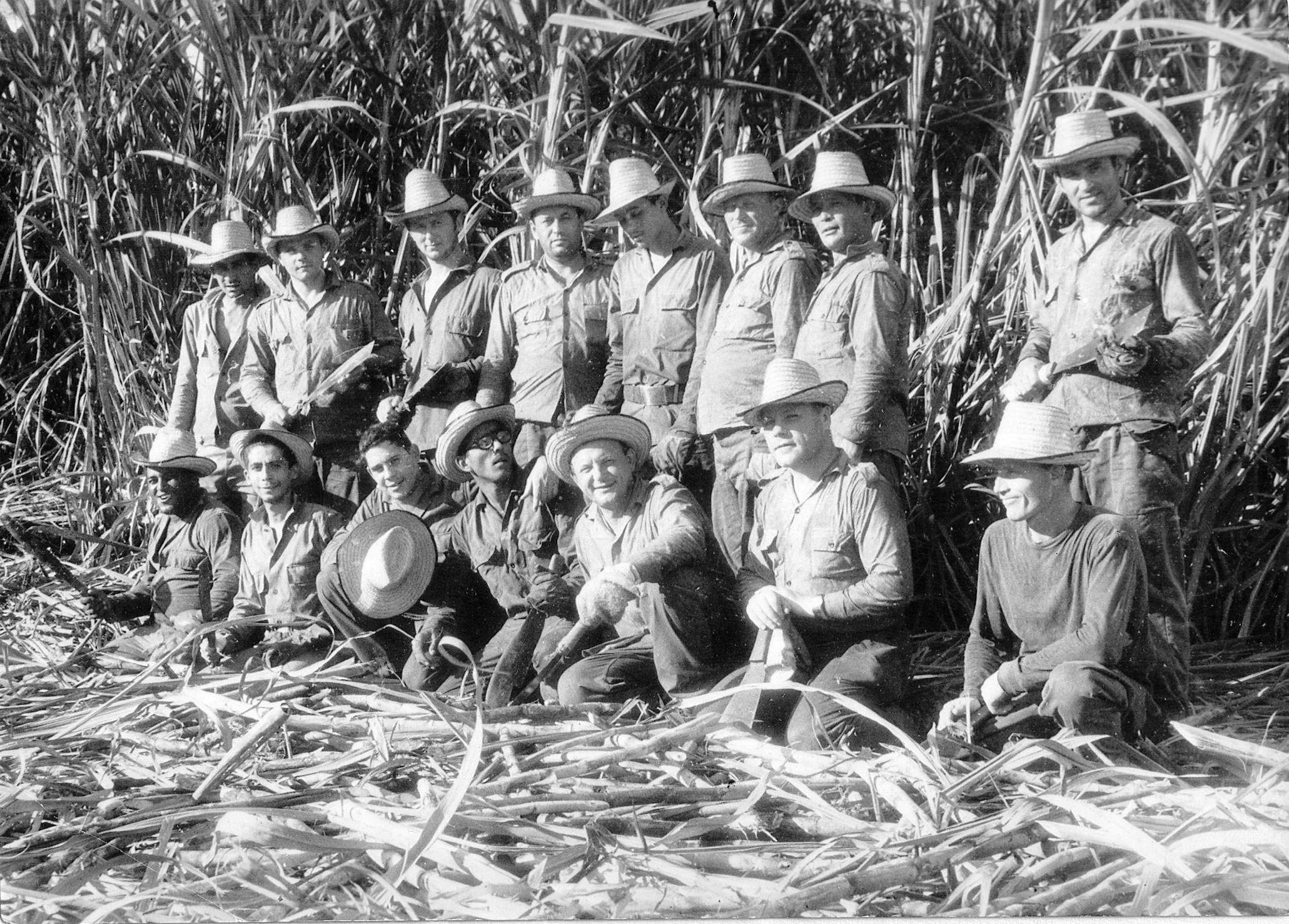Советские военные специалисты и переводчики вместе с кубинцами на уборке сахарного тростника. Щеглов А.Ф. во втором ряду, третий слева.